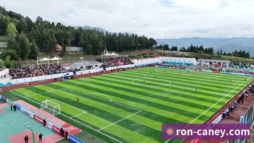 奖项证书